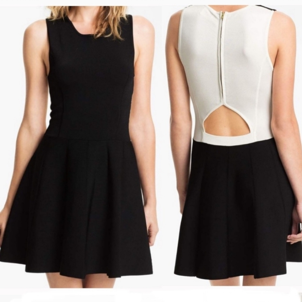 PARKER Color Block Lulu Skater Dress Size M